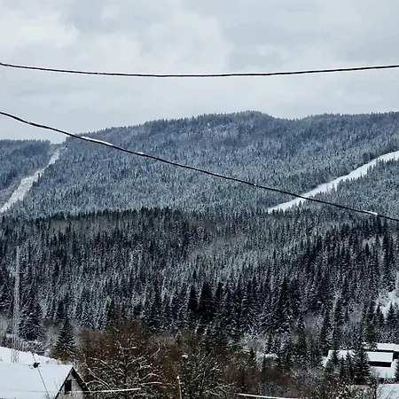 Ravna Planina Holiday home